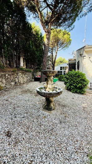 Jardín